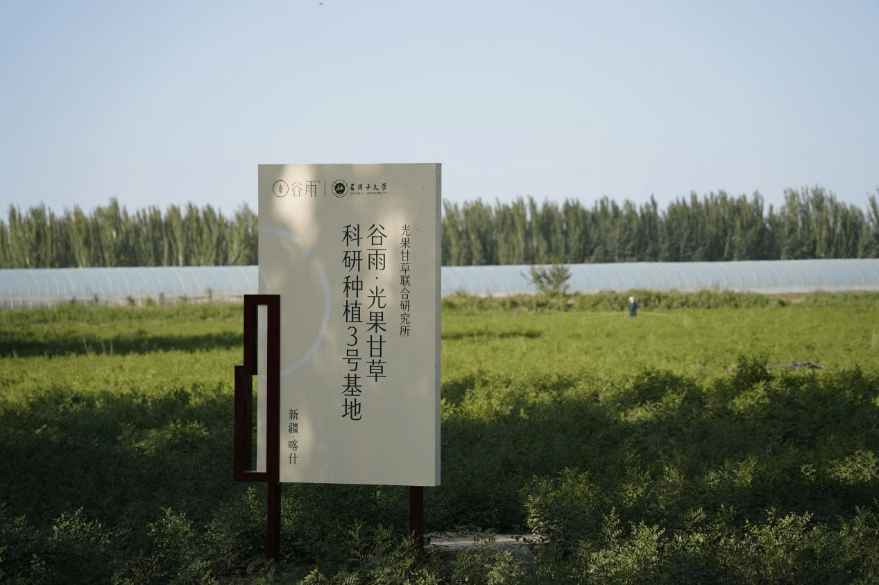 谷雨生物豪賭：解密ESG報告背後的中國美妝科技夢