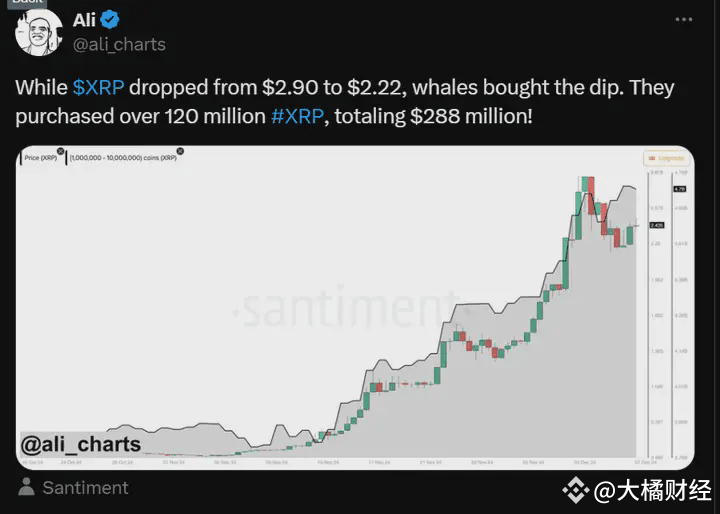 XRP巨鲸逆势抄底：2.88亿美元大手笔押注未来上涨