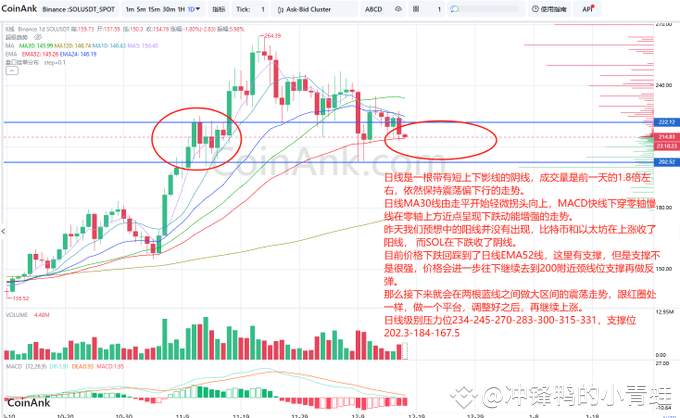 SOL价格分析：震荡下行，支撑位与压力位博弈