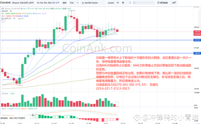 SOL价格分析：高位震荡后的回调是上车良机？