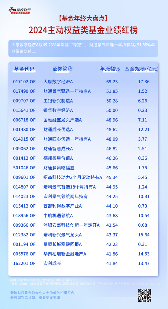 2024主动权益类基金业绩盘点及2025年投资展望：人工智能产业链成焦点