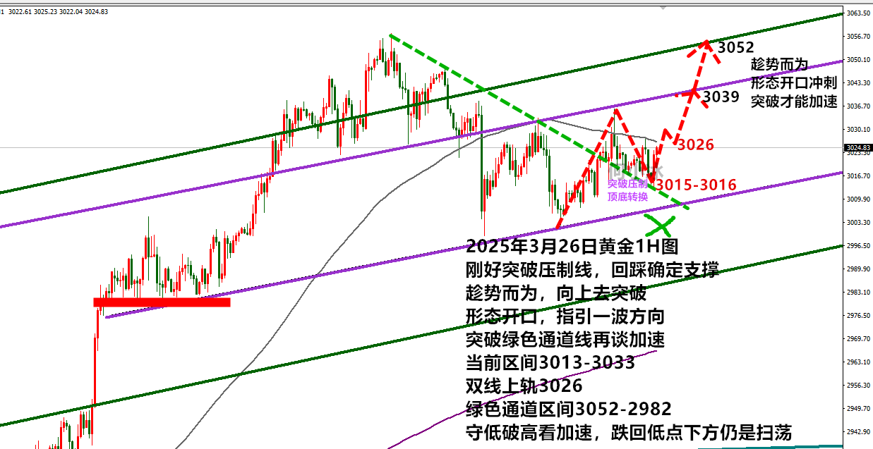 金价疯涨在即？3033成生死线，冲破就起飞！