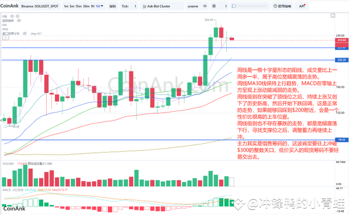 SOL价格分析：高位震荡后的回调是上车良机？